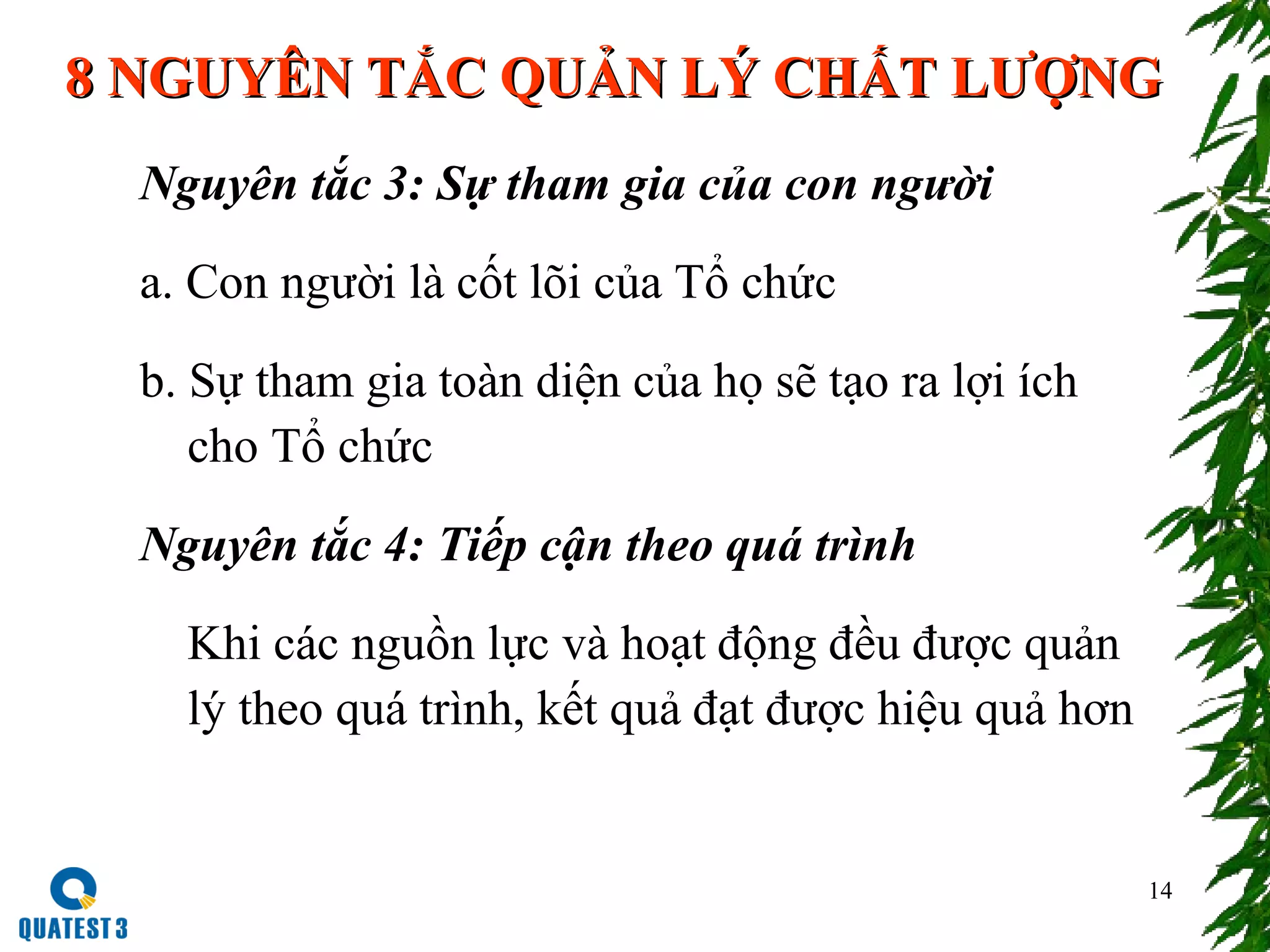 14
8 NGUYÊN TẮC QUẢN LÝ CHẤT LƯỢNG8 NGUYÊN TẮC QUẢN LÝ CHẤT LƯỢNG
Nguyên tắc 3: Sự tham gia của con người
a. Con người là cốt lõi của Tổ chức
b. Sự tham gia toàn diện của họ sẽ tạo ra lợi ích
cho Tổ chức
Nguyên tắc 4: Tiếp cận theo quá trình
Khi các nguồn lực và hoạt động đều được quản
lý theo quá trình, kết quả đạt được hiệu quả hơn
 