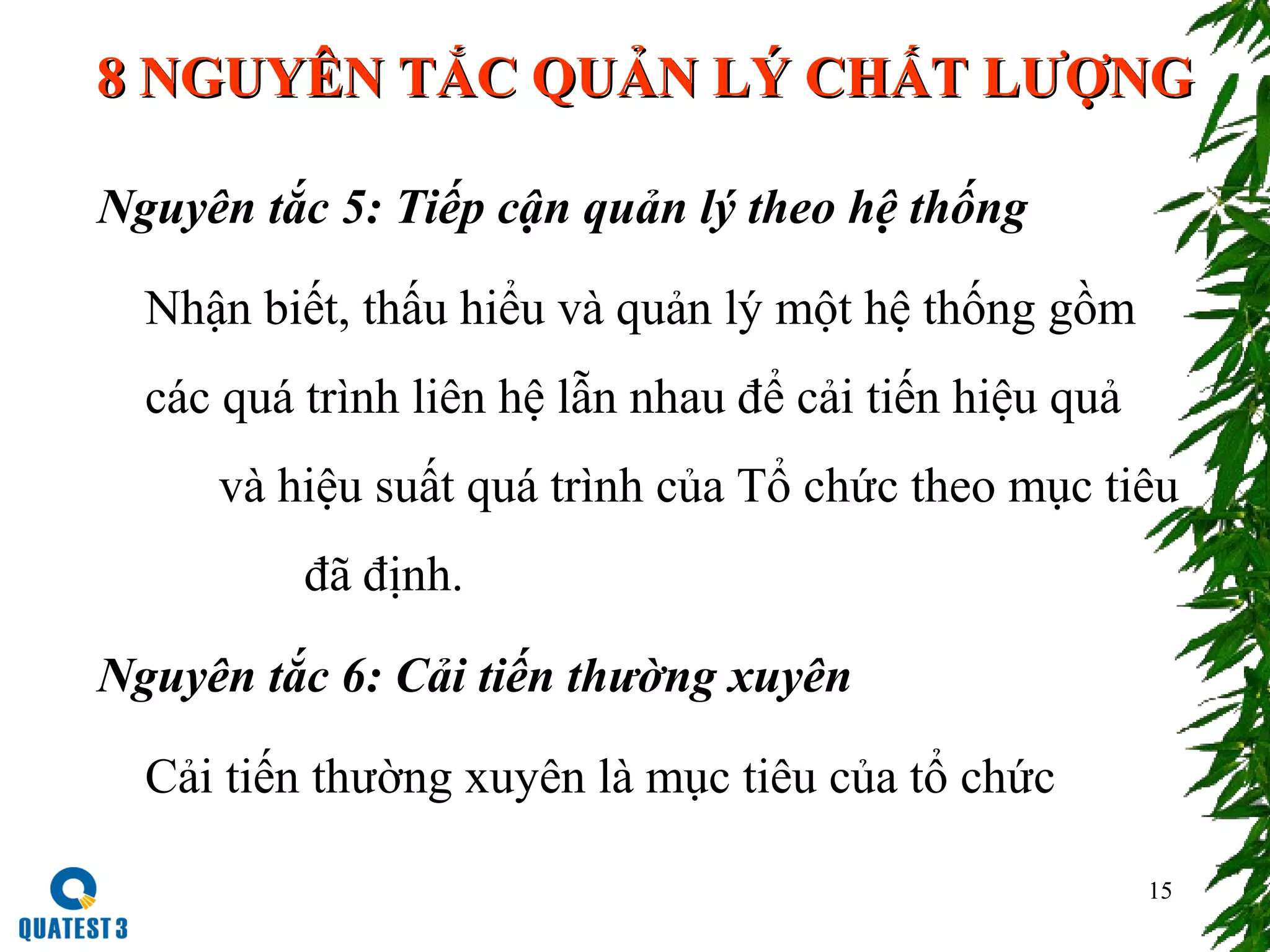 15
Nguyên tắc 5: Tiếp cận quản lý theo hệ thống
Nhận biết, thấu hiểu và quản lý một hệ thống gồm
các quá trình liên hệ lẫn nhau để cải tiến hiệu quả
và hiệu suất quá trình của Tổ chức theo mục tiêu
đã định.
Nguyên tắc 6: Cải tiến thường xuyên
Cải tiến thường xuyên là mục tiêu của tổ chức
8 NGUYÊN TẮC QUẢN LÝ CHẤT LƯỢNG8 NGUYÊN TẮC QUẢN LÝ CHẤT LƯỢNG
 