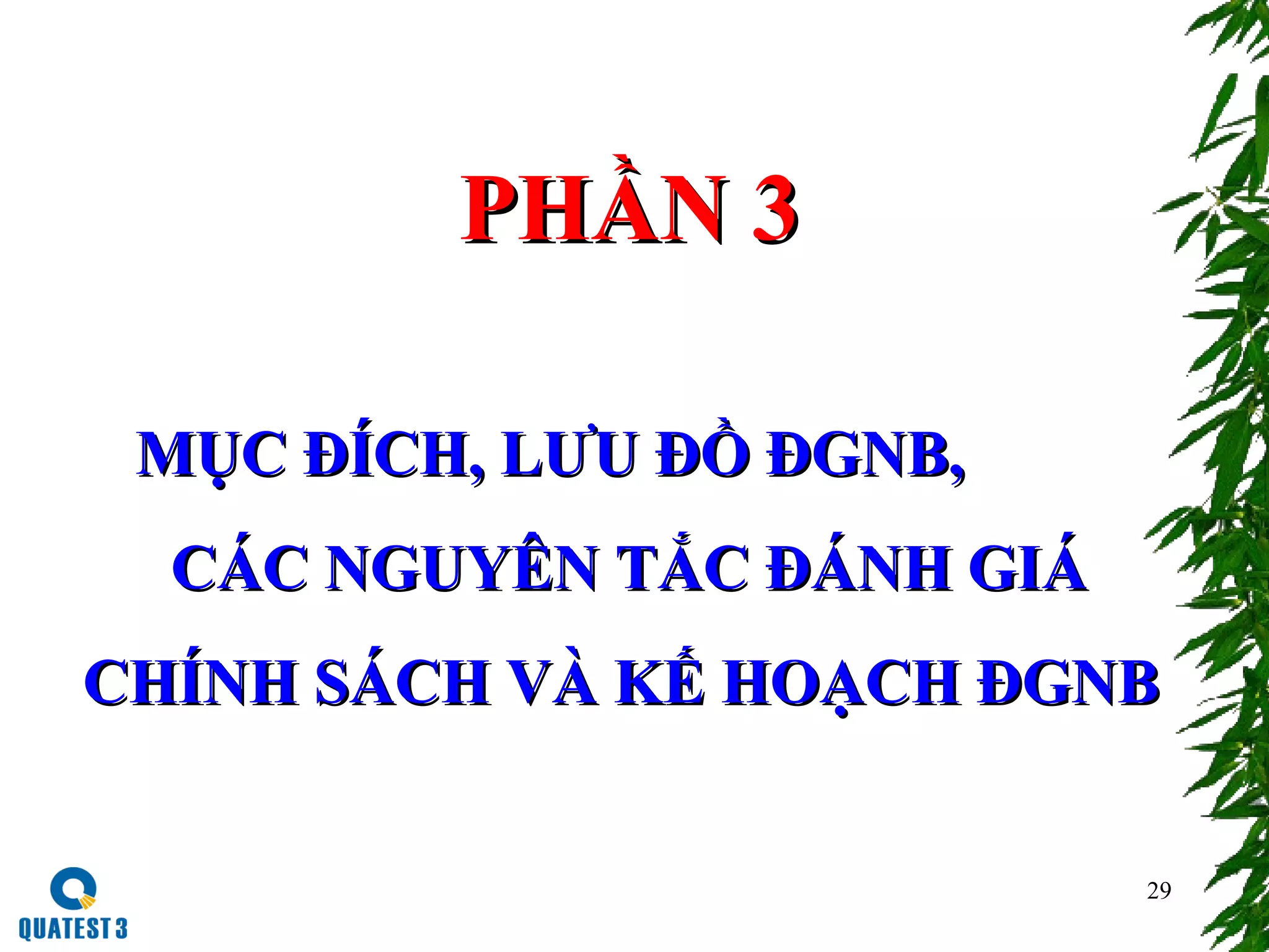 29
PHẦN 3PHẦN 3
MỤC ĐÍCH, LƯU ĐỒ ĐGNB,MỤC ĐÍCH, LƯU ĐỒ ĐGNB,
CÁC NGUYÊN TẮC ĐÁNH GIÁCÁC NGUYÊN TẮC ĐÁNH GIÁ
CHÍNH SÁCH VÀ KẾ HOẠCH ĐGNBCHÍNH SÁCH VÀ KẾ HOẠCH ĐGNB
 