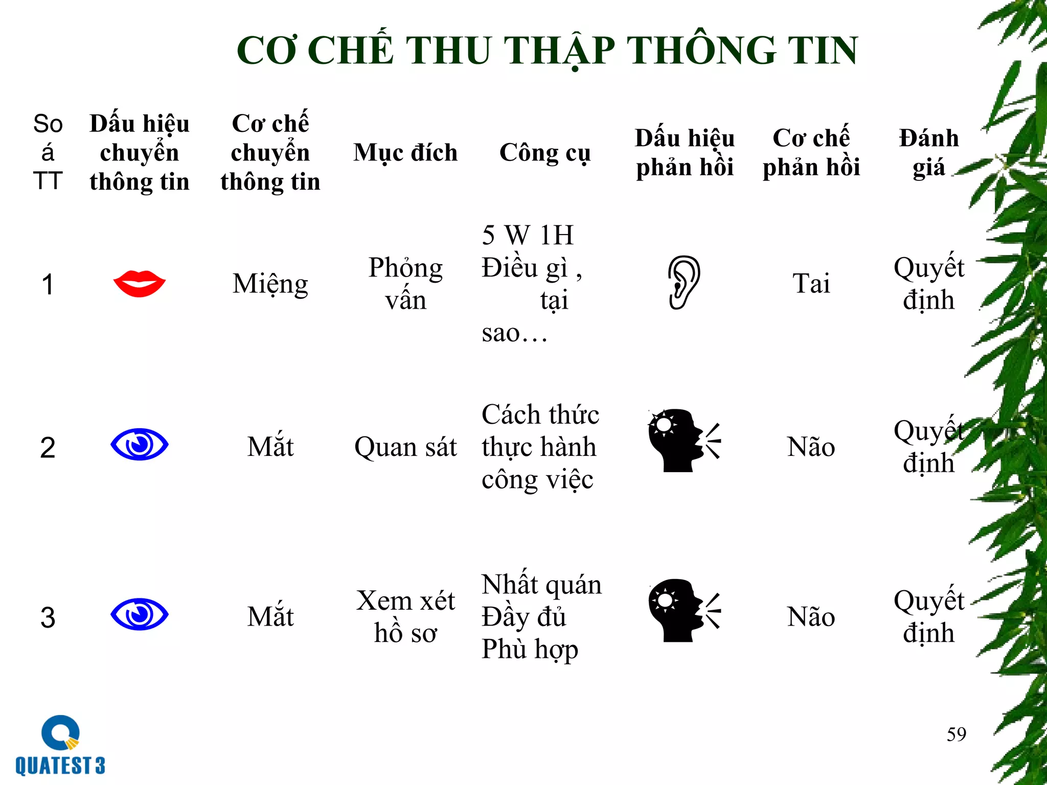 59
So
á
TT
Dấu hiệu
chuyển
thông tin
Cơ chế
chuyển
thông tin
Mục đích Công cụ
Dấu hiệu
phản hồi
Cơ chế
phản hồi
Đánh
giá
1  Miệng
Phỏng
vấn
5 W 1H
Điều gì ,
tại
sao…
 Tai
Quyết
định
2  Mắt Quan sát
Cách thức
thực hành
công việc
 Não
Quyết
định
3  Mắt
Xem xét
hồ sơ
Nhất quán
Đầy đủ
Phù hợp
 Não
Quyết
định
CƠ CHẾ THU THẬP THÔNG TIN
 