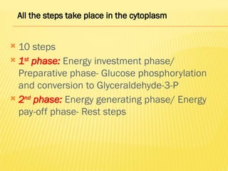  10 steps
 1st
phase: Energy investment phase/
Preparative phase- Glucose phosphorylation
and conversion to Glyceraldehyde-3-P
 2nd
phase: Energy generating phase/ Energy
pay-off phase- Rest steps
All the steps take place in the cytoplasm
 