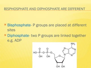 2 Glycolysis- glucose transport and glycolysis | PPTX