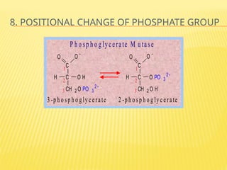 8. POSITIONAL CHANGE OF PHOSPHATE GROUP
C
C
CH 2 O H
O O 
H O PO 3
2 
2
3
1
C
C
CH 2 O PO 3
2 
O O 
H O H
2
3
1
3 -p h o sp h o g ly ce rate 2 -p h o sp h o g ly cerate
P h o sp h o g lycerate M u tase
 