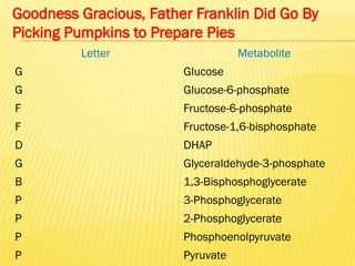 Goodness Gracious, Father Franklin Did Go By
Picking Pumpkins to Prepare Pies
Letter Metabolite
G Glucose
G Glucose-6-phosphate
F Fructose-6-phosphate
F Fructose-1,6-bisphosphate
D DHAP
G Glyceraldehyde-3-phosphate
B 1,3-Bisphosphoglycerate
P 3-Phosphoglycerate
P 2-Phosphoglycerate
P Phosphoenolpyruvate
P Pyruvate
 