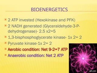BIOENERGETICS
 2 ATP invested (Hexokinase and PFK)
 2 NADH generated (Glyceraldehyde-3-P-
dehydrogenase)- 2.5 x2=5
 1,3-bisphosphoglycerate kinase- 1x 2= 2
 Pyruvate kinase-1x 2= 2
 Aerobic condition: Net 9-2=7 ATP
 Anaerobic condition: Net 2 ATP
 
