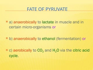 FATE OF PYRUVATE
 a) anaerobically to lactate in muscle and in
certain micro-organisms or
 b) anaerobically to ethanol (fermentation) or
 c) aerobically to CO2 and H2O via the citric acid
cycle.
 