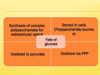 Synthesis of complex
polysaccharides for
extracellular space
Stored in cells
(Polysaccharide/sucros
e)
Oxidized to pyruvate Oxidized via PPP
Fate of
glucose
 