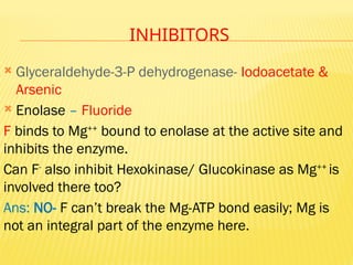 INHIBITORS
 Glyceraldehyde-3-P dehydrogenase- Iodoacetate &
Arsenic
 Enolase – Fluoride
F binds to Mg++
bound to enolase at the active site and
inhibits the enzyme.
Can F-
also inhibit Hexokinase/ Glucokinase as Mg++
is
involved there too?
Ans: NO- F can’t break the Mg-ATP bond easily; Mg is
not an integral part of the enzyme here.
 