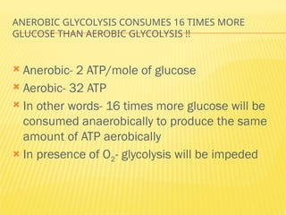 ANEROBIC GLYCOLYSIS CONSUMES 16 TIMES MORE
GLUCOSE THAN AEROBIC GLYCOLYSIS !!
 Anerobic- 2 ATP/mole of glucose
 Aerobic- 32 ATP
 In other words- 16 times more glucose will be
consumed anaerobically to produce the same
amount of ATP aerobically
 In presence of O2- glycolysis will be impeded
 