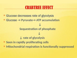 CRABTREE EFFECT
 Glucose decreases rate of glycolysis
 Glucose → Pyruvate→ ATP accumulation
↓
Sequestration of phosphate
↓
↓ rate of glycolysis
 Seen in rapidly proliferating cells
 Mitochondrial respiration is functionally suppressed
 