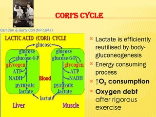 CORI’S CYCLE
 Lactate is efficiently
reutilised by body-
gluconeogenesis
 Energy consuming
process
 ↑O2 consumption
 Oxygen debt
after rigorous
exercise
Carl Cori & Gerty Cori (NP-1947)
 