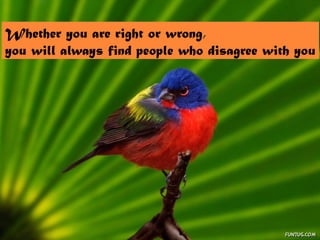 Whether you are right or wrong,
you will always find people who disagree with you
 