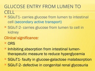 GLUCOSE ENTRY FROM LUMEN TO
CELL
 SGluT1- carries glucose from lumen to intestinal
cell (secondary active transport)
 SGluT-2- carries glucose from lumen to cell in
kidney
Clinical significance:
 ORS
 Inhibiting absorption from intestinal lumen-
therapeutic measure to reduce hyperglycemia
 SGluT1- faulty in glucose-galactose malabsorption
 SGluT-2- defective in congenital renal glycosuria
 