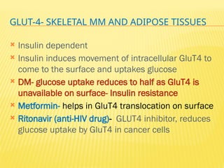 GLUT-4- SKELETAL MM AND ADIPOSE TISSUES
 Insulin dependent
 Insulin induces movement of intracellular GluT4 to
come to the surface and uptakes glucose
 DM- glucose uptake reduces to half as GluT4 is
unavailable on surface- Insulin resistance
 Metformin- helps in GluT4 translocation on surface
 Ritonavir (anti-HIV drug)- GLUT4 inhibitor, reduces
glucose uptake by GluT4 in cancer cells
 
