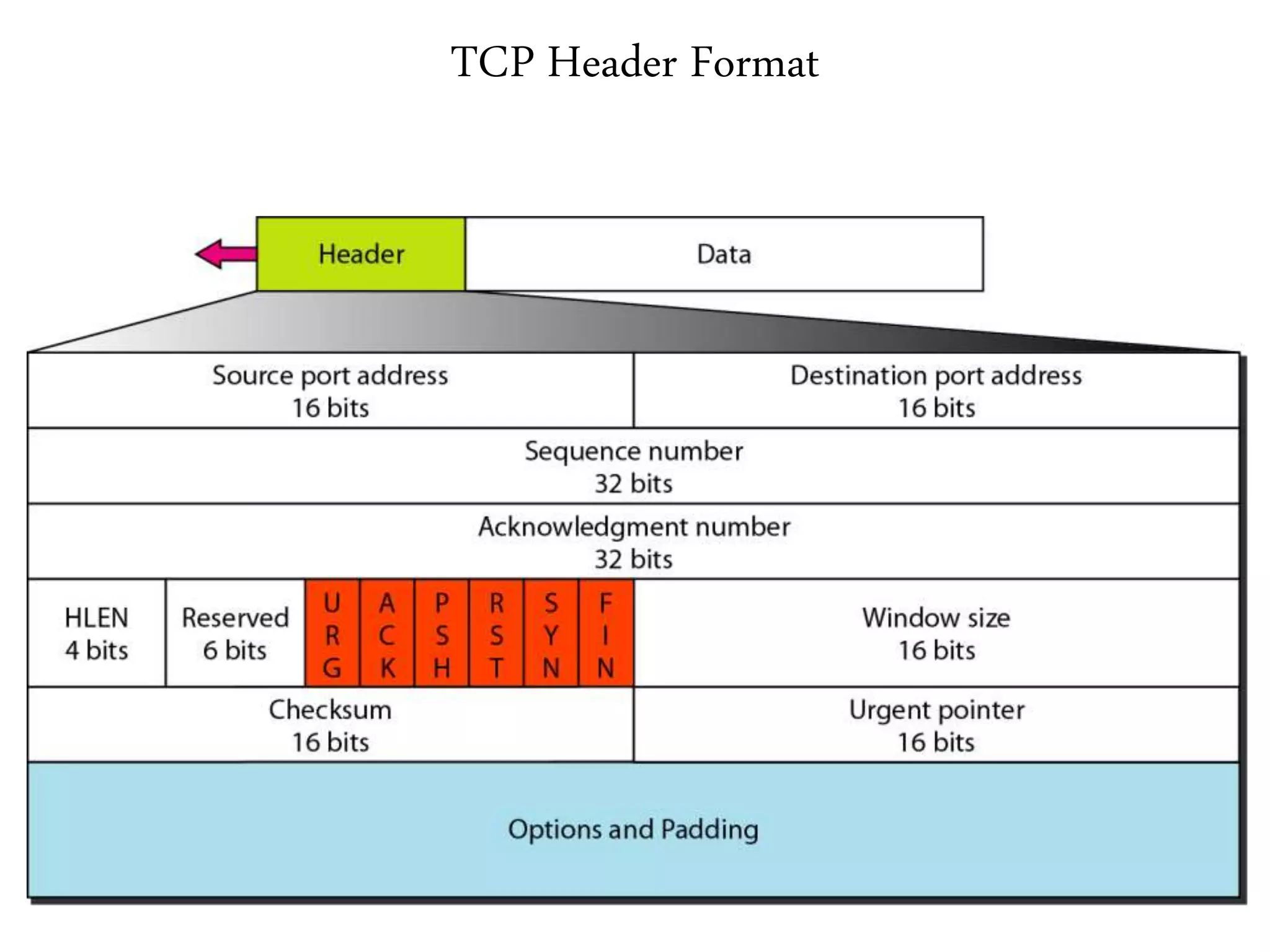 TCP Header Format
 