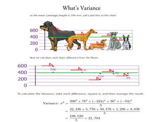 What’s Variance
 