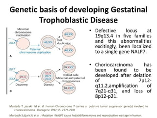 Genetic basis of developing Gestatinal
Trophoblastic Disease
• Defective locus at
19q13.4 in five families
and this abnormalities
excitingly, been localized
to a single gene NALP7.
• Choriocarcinoma has
been found to be
developed after delation
of 7p12-
q11.2,amplification of
7q21-q31, and loss of
8p12-p21.
Murdoch S,djuric U et al . Mutation I NALP7 cause hydatidiform moles and reproductive wastage in human.
Mustada T ,sasaki M et al .human Chromosome 7 carries a putative tumor suppressor gene(s) involved in
choriocarcinoma . Oncogene 1997;15: 2773-2781
 