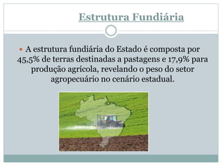 Estrutura Fundiária
 A estrutura fundiária do Estado é composta por
45,5% de terras destinadas a pastagens e 17,9% para
produção agrícola, revelando o peso do setor
agropecuário no cenário estadual.
 