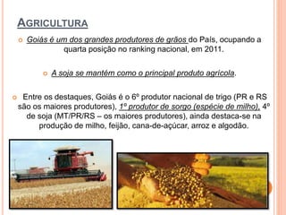 AGRICULTURA
 Goiás é um dos grandes produtores de grãos do País, ocupando a
quarta posição no ranking nacional, em 2011.
 A soja se mantém como o principal produto agrícola.
 Entre os destaques, Goiás é o 6º produtor nacional de trigo (PR e RS
são os maiores produtores), 1º produtor de sorgo (espécie de milho), 4º
de soja (MT/PR/RS – os maiores produtores), ainda destaca-se na
produção de milho, feijão, cana-de-açúcar, arroz e algodão.
 