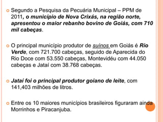  Segundo a Pesquisa da Pecuária Municipal – PPM de
2011, o município de Nova Crixás, na região norte,
apresentou o maior rebanho bovino de Goiás, com 710
mil cabeças.
 O principal município produtor de suínos em Goiás é Rio
Verde, com 721.700 cabeças, seguido de Aparecida do
Rio Doce com 53.550 cabeças, Montevidéu com 44.050
cabeças e Jataí com 38.768 cabeças.
 Jataí foi o principal produtor goiano de leite, com
141,403 milhões de litros.
 Entre os 10 maiores municípios brasileiros figuraram ainda
Morrinhos e Piracanjuba.
 