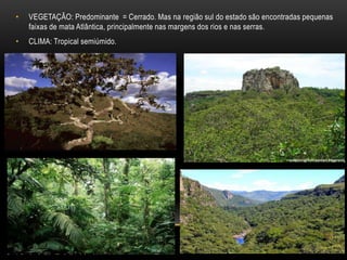 • VEGETAÇÃO: Predominante = Cerrado. Mas na região sul do estado são encontradas pequenas
faixas de mata Atlântica, principalmente nas margens dos rios e nas serras.
• CLIMA: Tropical semiúmido.
 