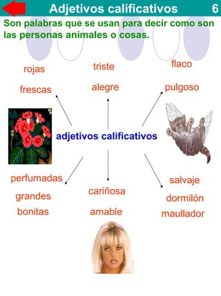 Son palabras que se usan para decir como son
las personas animales o cosas.
Adjetivos calificativos 6
rojas
frescas
triste
alegre
flaco
pulgoso
perfumadas
grandes
bonitas
cariñosa
amable
dormilón
salvaje
maullador
adjetivos calificativos
 