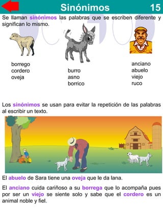 Sinónimos 15
Se llaman sinónimos las palabras que se escriben diferente y
significan lo mismo.
Los sinónimos se usan para evitar la repetición de las palabras
al escribir un texto.
El abuelo de Sara tiene una oveja que le da lana.
El anciano cuida cariñoso a su borrega que lo acompaña pues
por ser un viejo se siente solo y sabe que el cordero es un
animal noble y fiel.
borrego
cordero
oveja
burro
asno
borrico
anciano
abuelo
viejo
ruco
 