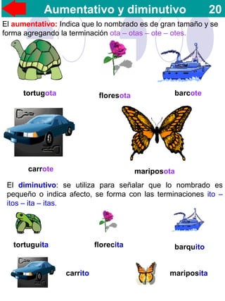 El aumentativo: Indica que lo nombrado es de gran tamaño y se
forma agregando la terminación ota – otas – ote – otes.
El diminutivo: se utiliza para señalar que lo nombrado es
pequeño o indica afecto, se forma con las terminaciones ito –
itos – ita – itas.
Aumentativo y diminutivo 20
tortugota floresota barcote
tortuguita florecita barquito
carrote
carrito mariposita
mariposota
 