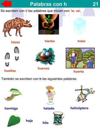 Palabras con h 21
Se escriben con h las palabras que inician con ie, ue.
hiena hierba hielo
huellas
huevos
huerta
También se escriben con h las siguientes palabras:
hormiga helado
hoja
hilo
helicóptero
 