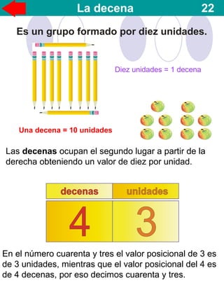 La decena 22
Es un grupo formado por diez unidades.
Las decenas ocupan el segundo lugar a partir de la
derecha obteniendo un valor de diez por unidad.
En el número cuarenta y tres el valor posicional de 3 es
de 3 unidades, mientras que el valor posicional del 4 es
de 4 decenas, por eso decimos cuarenta y tres.
Diez unidades = 1 decena
Una decena = 10 unidades
 
