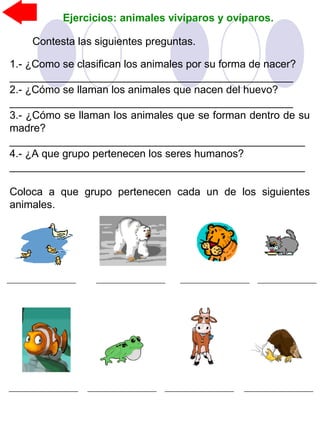 Ejercicios: animales vivíparos y ovíparos.
Contesta las siguientes preguntas.
1.- ¿Como se clasifican los animales por su forma de nacer?
________________________________________________
2.- ¿Cómo se llaman los animales que nacen del huevo?
________________________________________________
3.- ¿Cómo se llaman los animales que se forman dentro de su
madre?
__________________________________________________
4.- ¿A que grupo pertenecen los seres humanos?
__________________________________________________
Coloca a que grupo pertenecen cada un de los siguientes
animales.
 