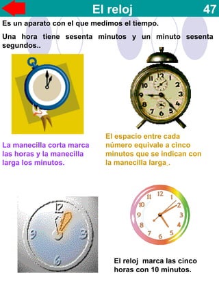 El reloj 47
Es un aparato con el que medimos el tiempo.
Una hora tiene sesenta minutos y un minuto sesenta
segundos..
La manecilla corta marca
las horas y la manecilla
larga los minutos.
El reloj marca las cinco
horas con 10 minutos.
El espacio entre cada
número equivale a cinco
minutos que se indican con
la manecilla larga .
 