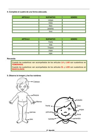 __________________________________________________________________________________________
________________________________________2° Abril/8_____________________________________
4. Completa el cuadro de una forma adecuada.
ARTICULO SUSTANTIVO GENERO
Lengua
Oídos
Nariz
pestañas
boca
ARTÍCULO SUSTANTIVO GENERO
Frente
Vista
Tímpano
orejas
cejas
Recuerda:
Cuando los sustantivos van acompañados de los artículos LA y LAS son sustantivos en
FEMENINOS.
Cuando los sustantivos van acompañados de los artículos EL y LOS son sustantivos en
MASCULINOS.
5. Observa la imagen y lee los nombres
Cabeza
Brazos
Manos
piernas
pies
frente
Cabello
Ojos
boca
mentón
orejas
pómulos
barbilla
 