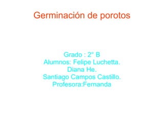 Germinación de porotos
Grado : 2° B
Alumnos: Felipe Luchetta.
Diana He.
Santiago Campos Castillo.
Profesora:Fernanda
 