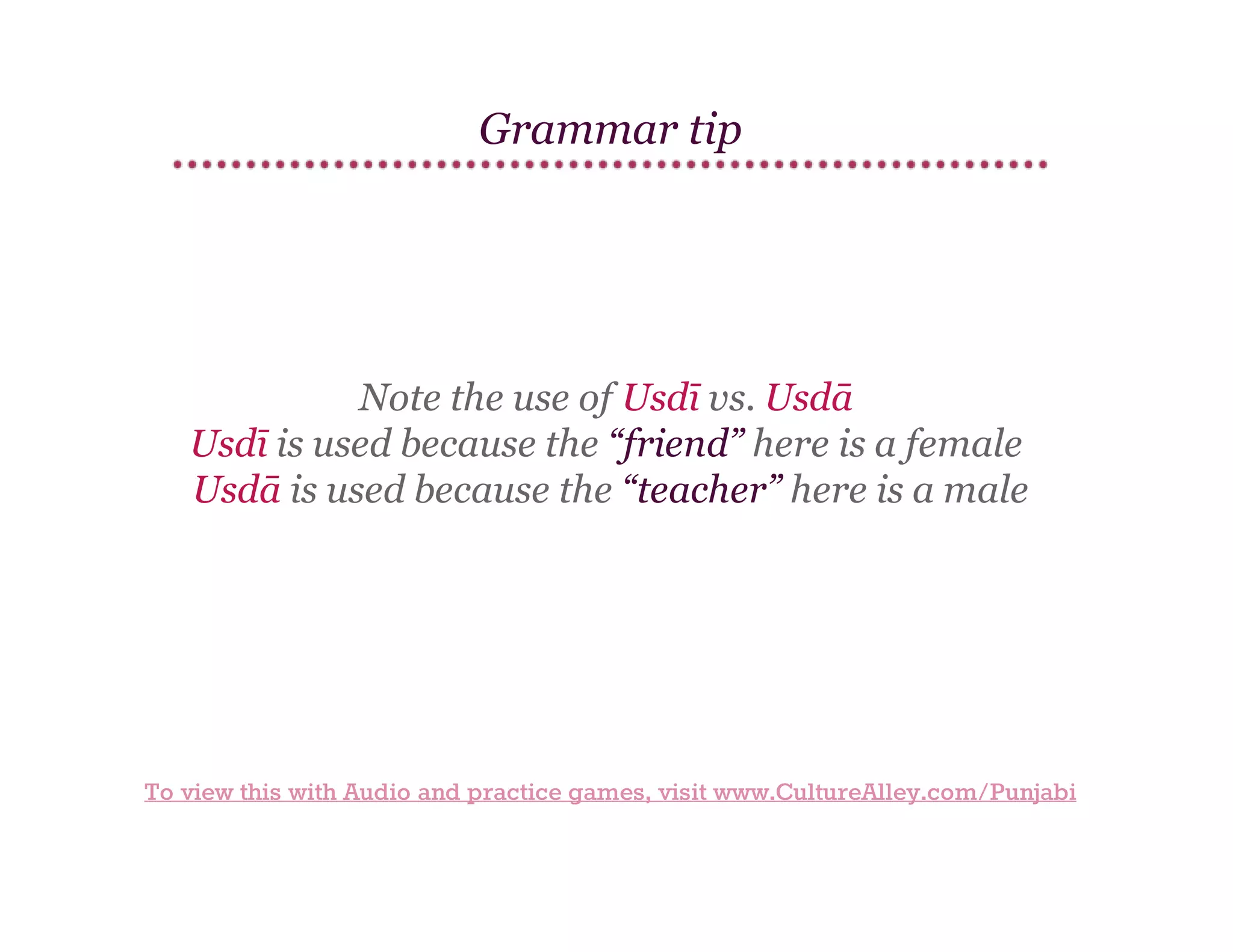 Basic Punjabi | Lesson 2 | Common useful phrases & Grammar | PDF