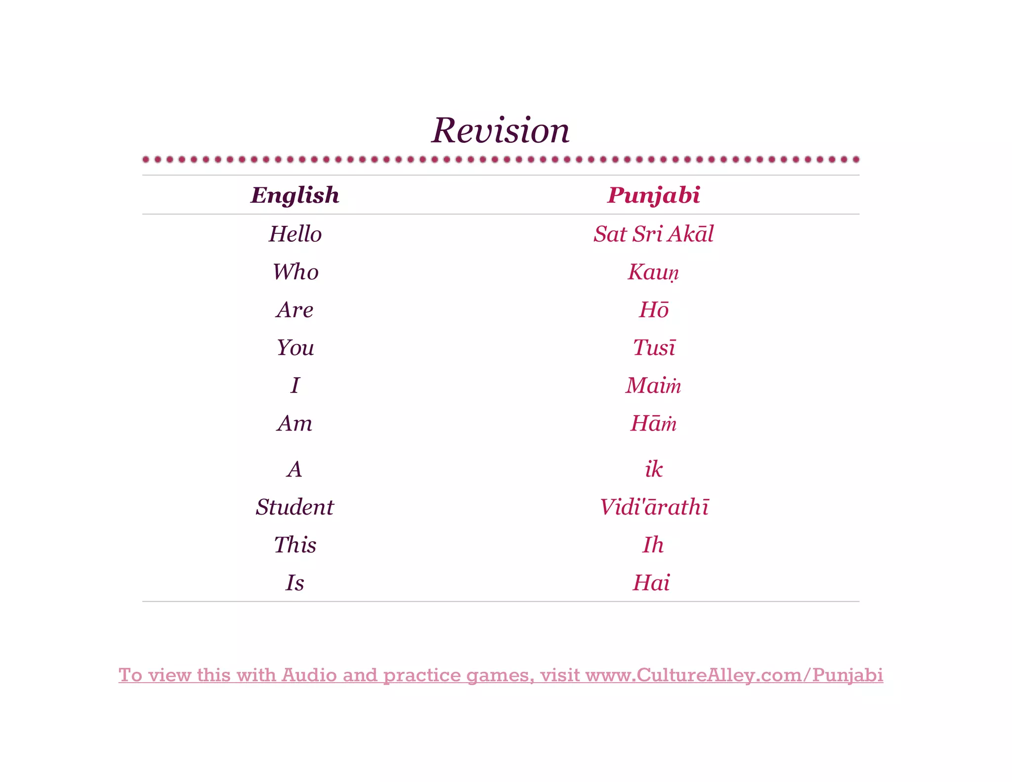 Basic Punjabi | Lesson 2 | Common useful phrases & Grammar | PDF