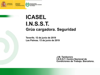 ICASEL
I.N.S.S.T.
Grúa cargadora. Seguridad
Tenerife. 12 de junio de 2019
Las Palmas. 13 de junio de 2019
J.M. Tamborero
I.N.S.S.T. Centro Nacional de
Condiciones de Trabajo. Barcelona.
 