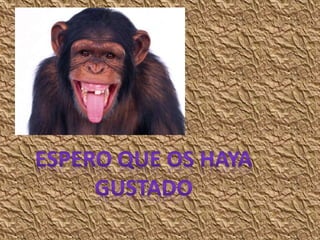 La segunda guerra mundial