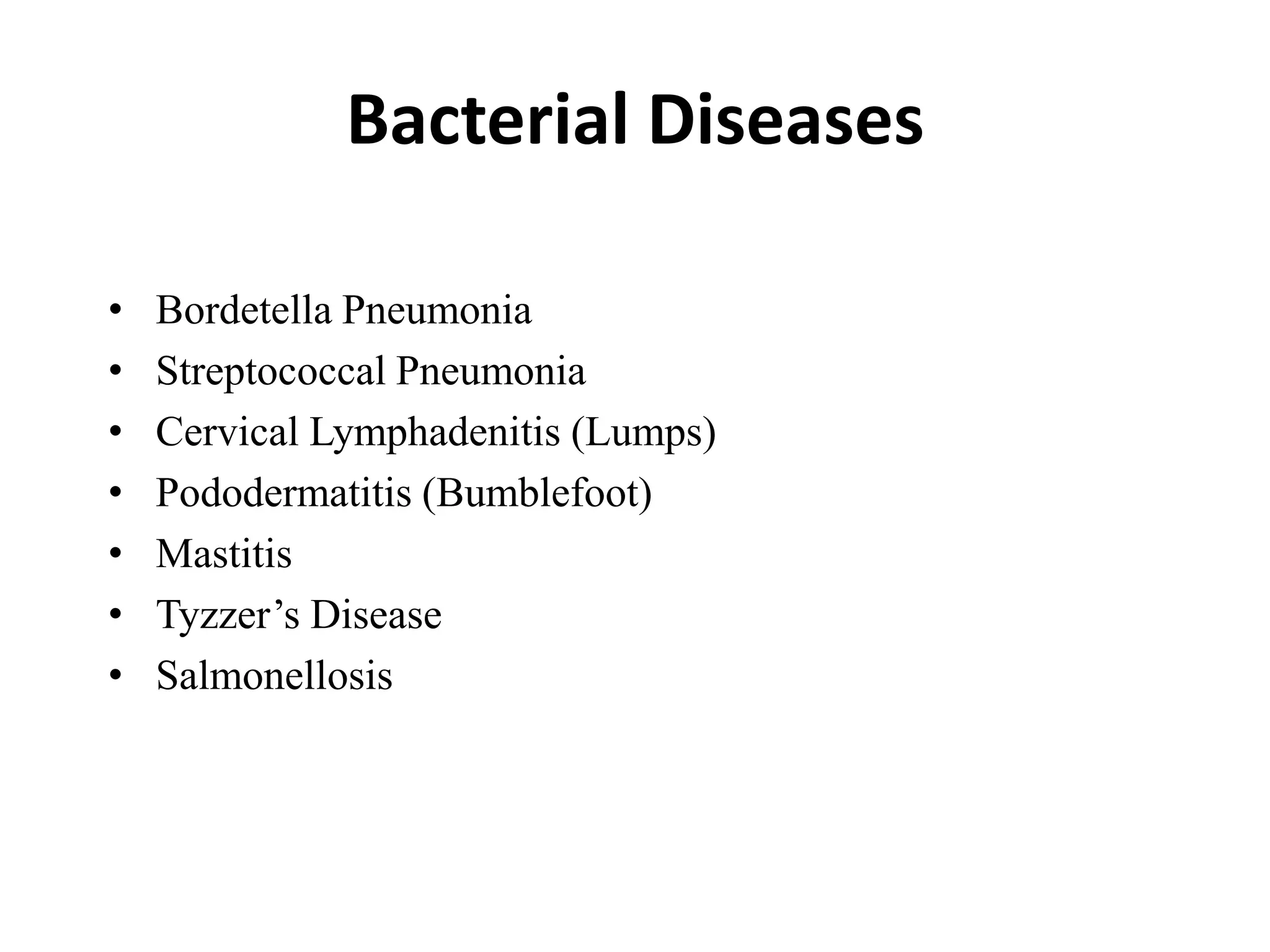 Curated visual reference: Curated Beneficial Bacteria Guinea Pig Gallery View