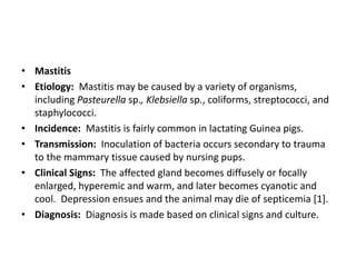 Image showcasing Guinea pig - Bacterial, Viral, Mycotic, Parasitic and Non infectious ...