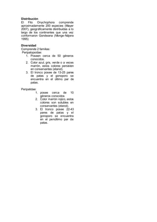 Distribución
El Filo Onychophora comprende
aproximadamente 200 especies (Mayer
2007), geográficamente distribuidas a lo
largo de los continentes que una vez
conformaron Gondwana (Monge-Nájera
1995)
Diversidad
Comprende 2 familias:
Peripatopsidae:
1. Poseen cerca de 50 géneros
conocidos.
2. Color azul, gris, verde o a veces
marrón, estos colores persisten
en conservantes (etanol).
3. El tronco posee de 13-25 pares
de patas y el gonoporo se
encuentra en el último par de
patas.
Peripatidae:
1. posee cerca de 10
géneros conocidos
2. Color marrón rojizo, estos
colores son solubles en
conservantes (etanol).
3. El tronco posee 22-43
pares de patas y el
gonoporo se encuentra
en el penúltimo par de
patas.
 