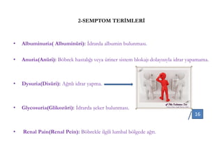 2-SEMPTOM TERİMLERİ
• Albuminuria( Albuminüri): İdrarda albumin bulunması.
• Anuria(Anüri): Böbrek hastalığı veya üriner sistem blokajı dolayısıyla idrar yapamama.
• Dysuria(Disüri): Ağrılı idrar yapma.
• Glycosuria(Glikozüri): İdrarda şeker bulunması.
• Renal Pain(Renal Pein): Böbrekle ilgili lumbal bölgede ağrı.
16
 