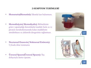 2-SEMPTOM TERİMLERİ
• Hematuria(Hematüri): İdrarda kan bulunması.
• Hemodialysis( Hemodiyaliz): Böbreklerin
görev yapamadığı durumlarda kandaki fazla su ve
protein metabolizmasında kalan maddelerin
arındırılması ve elektrolit dengesinin sağlanması.
• Nocturnal Enuresis( Nokturnal Enüresis):
Uykuda idrar tutamama
• Üreteral Spasm(Üreteral Spazm): Taş
dolayısıyla üreter spazmı.
17
18
 