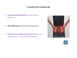 2-SEMPTOM TERİMLERİ
• Proteinuria(Proteinüri): İdrarda protein
bulunması.
• Pyuria(Piyüri): İdrarda iltihap bulunması.
• Residual Urine(Reziduel Ürin): İdrarın tam
akıtılamaması ve mesanede idrar kalması.
19
 