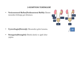 2-SEMPTOM TERİMLERİ
• Vesicoureteral Reflux(Vesikoureteral Reflü): İdrarın
üreterden böbreğe geri dönmesi.
• Cystorrhagia(Sistoraji): Mesaneden gelen kanama.
• Stranguria(Strangüri): Damla damla ve ağrılı idrar
yapma.
20
 