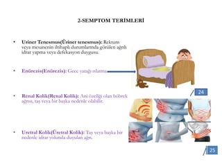 2-SEMPTOM TERİMLERİ
• Uriner Tenesmus(Üriner tenesmus): Rektum
veya mesanenin iltihaplı durumlarında görülen ağrılı
idrar yapma veya defekasyon duygusu.
• Enürezis(Enürezis): Gece yatağı ıslatma.
• Renal Kolik(Renal Kolik): Ani özellği olan böbrek
ağrısı, taş veya bir başka nedenle olabilir.
• Uretral Kolik(Üretral Kolik): Taş veya başka bir
nedenle idrar yolunda duyulan ağrı.
24
25
 