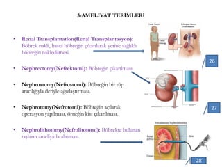 3-AMELİYAT TERİMLERİ
• Renal Transplantation(Renal Transplantasyon):
Böbrek nakli, hasta böbreğin çıkarılarak yerine sağlıklı
böbreğin nakledilmesi.
• Nephrectomy(Nefrektomi): Böbreğin çıkarılması.
• Nephrostomy(Nefrostomi): Böbreğin bir tüp
aracılığıyla deriyle ağızlaştırması.
• Nephrotomy(Nefrotomi): Böbreğin açılarak
operasyon yapılması, örneğin kist çıkarılması.
• Nephrolithotomy(Nefrolitotomi): Böbrekte bulunan
taşların ameliyatla alınması.
26
27
28
 