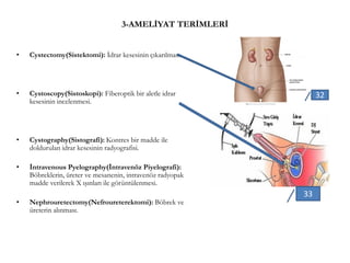 3-AMELİYAT TERİMLERİ
• Cystectomy(Sistektomi): İdrar kesesinin çıkarılması.
• Cystoscopy(Sistoskopi): Fiberoptik bir aletle idrar
kesesinin incelenmesi.
• Cystography(Sistografi): Kontres bir madde ile
doldurulan idrar kesesinin radyografisi.
• İntravenous Pyelography(İntravenöz Piyelografi):
Böbreklerin, üreter ve mesanenin, intravenöz radyopak
madde verilerek X ışınları ile görüntülenmesi.
• Nephrouretectomy(Nefroureterektomi): Böbrek ve
üreterin alınması.
32
33
 