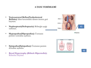 4-TANI TERİMLERİ
• Vesicoureteral Reflux(Vesikoüreteral
Refluks): İdrar kesesindeki idrarın üretere geri
kaçması.
• Nephroptosis(Nefroptazis): Böbreğin aşağı
sarkması.
• Hypospadias(Hipospadias): Üretranın
penisin ventraline açılması.
• Epispadias(Epispadias): Üretranın penisin
dorsaline açılması.
• Renal Hypertrophy (Böbrek Hipertrofisi):
Böbrekte büyüme
45
46
 