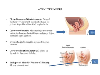 4-TANI TERİMLERİ
• Neuroblastoma(Nöroblastoma): Adrenal
medulla veya sempatik zincirin herhangi bir
yerinde kaynaklanabilen kötü huylu tümör.
• Cystocele(Sistosel): Mesane fıtığı, mesanenin
vajina ön duvarını da sürükleyerek dışarıya doğru
bombelik denk gelmesi.
• Cystorrhagia(Sistoraji): Mesaneden gelen
kanama.
• Cystouretritis(Sistoüreterit): Mesane ve
üreterlerin bir arada iltihabı.
• Prolopse of bladder(Prolaps of Blader):
Mesanenin sarkması.
50
51
 
